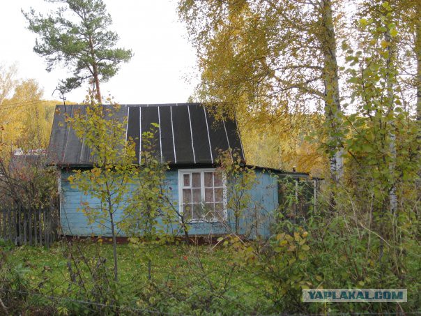 Подборка "тёплых уютных домашних" фотографий, часть 6