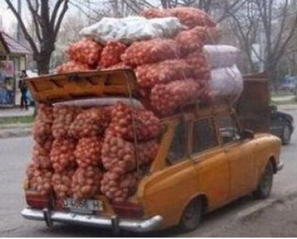 Дачные шедевры и дачный же креатив