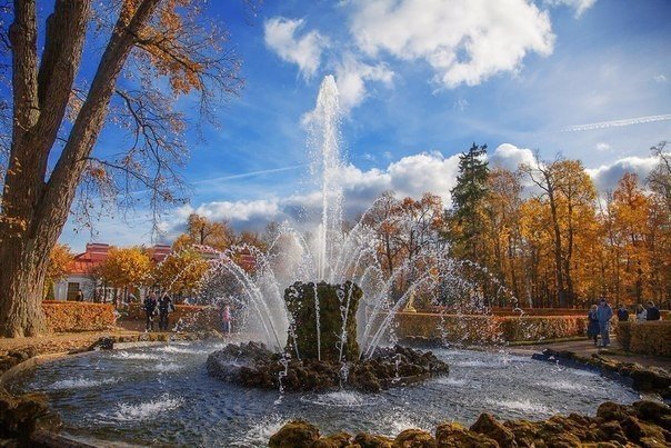 Порция картинок