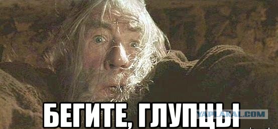 Беременная Собчак послала всех на х##