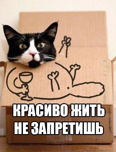 Смешные картинки с надписями