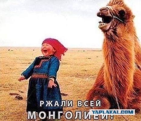Жители Монголии о русских. Три главных слова