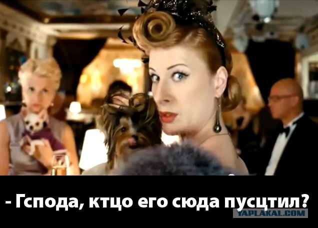 Остаться голодным в мишленовском ресторане