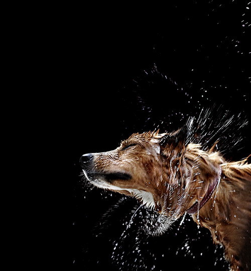 Лучшие фото по версии digital camera magazine