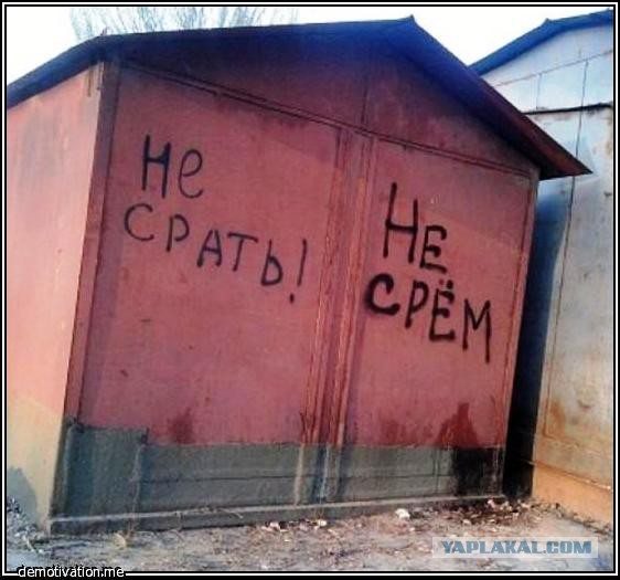 Весёлые картинки 16.12.2016.