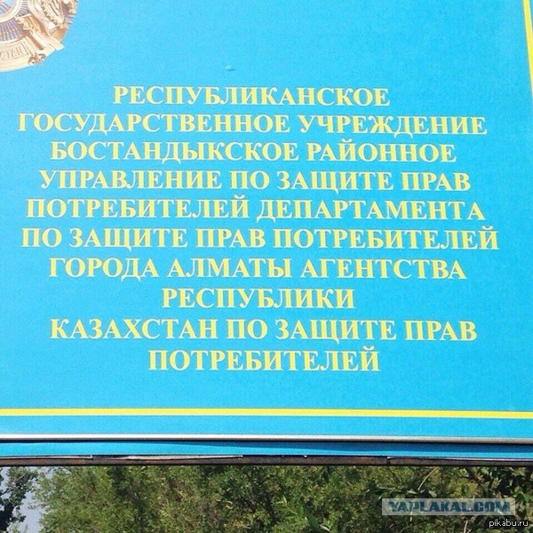 Подборка интересных и веселых картинок