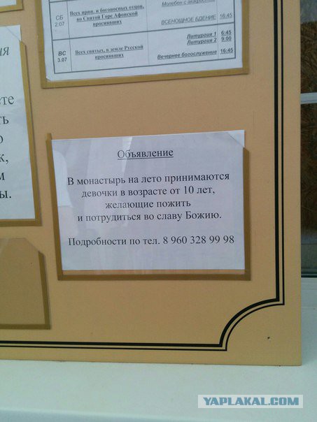 Пиво с портретом Сергея Шнурова оскорбило верующих