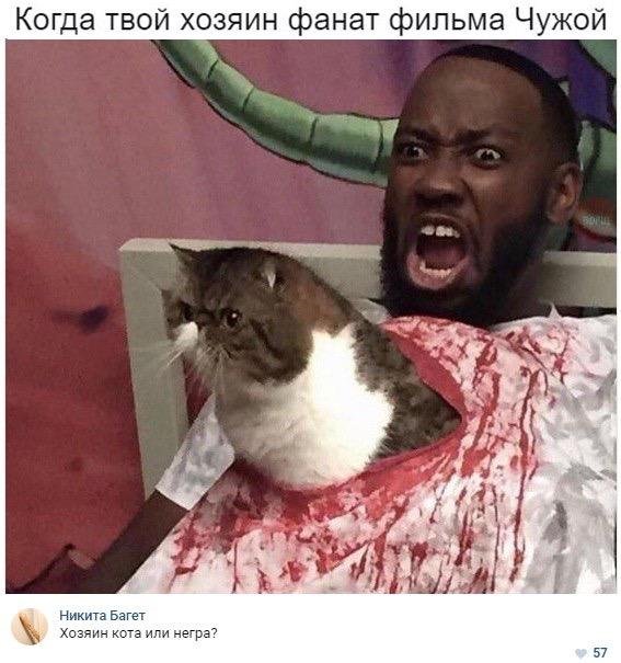 Деградации ЯПу