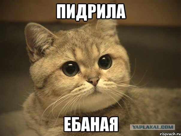 Падение люльки с рабочим