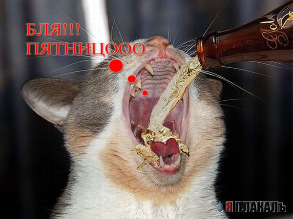 С ПЯТНИЦЕЙ!