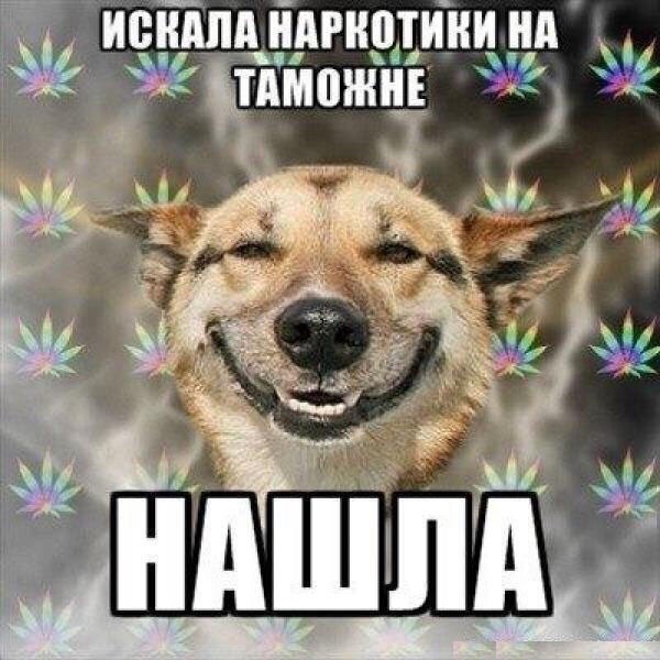 Очень много годноты