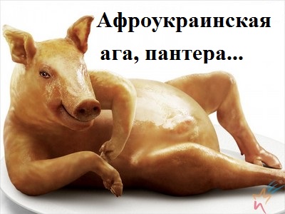 Официальный съезд илитного общества