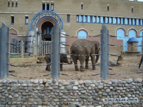 Московский зоопарк