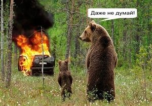 «Поджег машину отца и бросился в огонь»: на Урале парень пострадал во время пожара