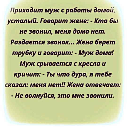 Анекдоты, соц-сети, истории и картинки с надписями