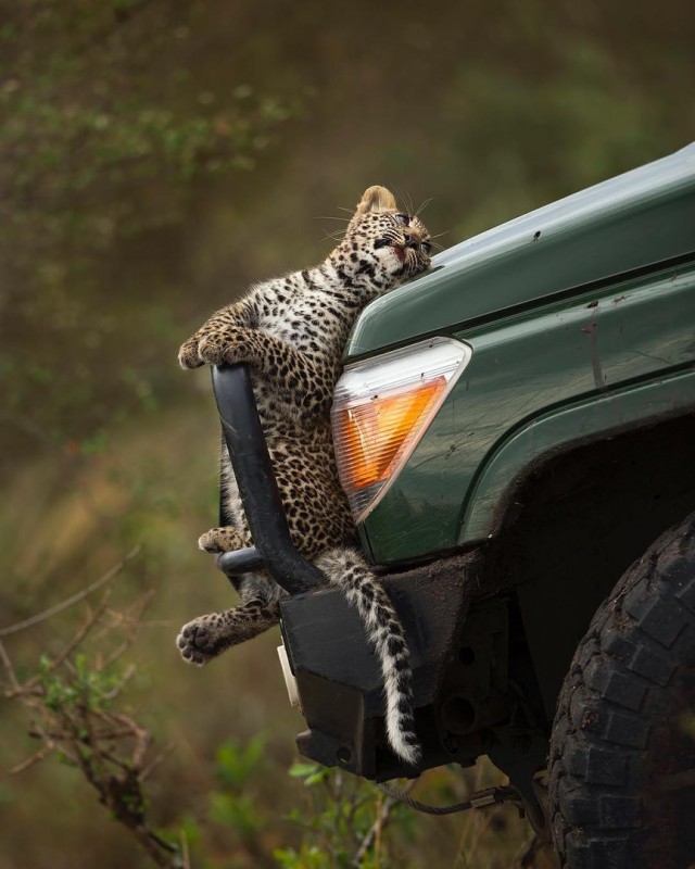 Подборка интересных и веселых картинок 14.10.19