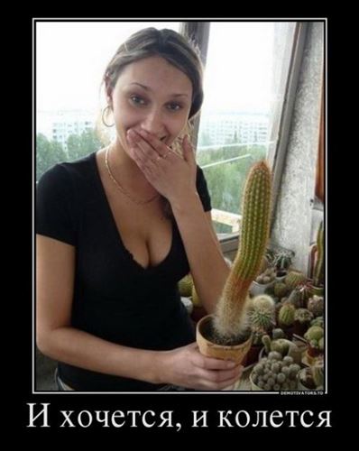 Очень пошлые картинки про это.18+
