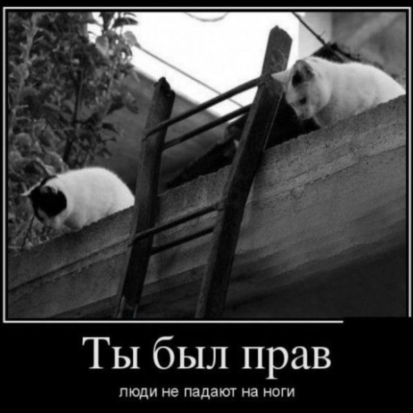 Бредзона 15.09.2020