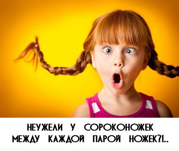 Артроплевра: До динозавров жести было ещё больше. Бронированная многоножка в 2,5 метра!