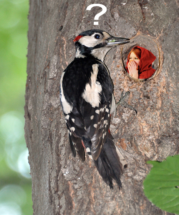 Фотожаба: "Заплутала"