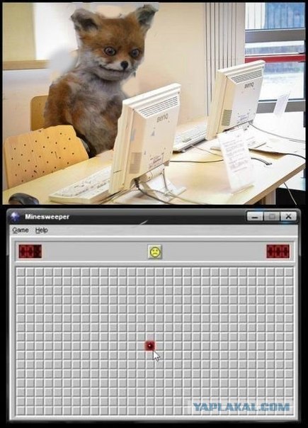 Девки миксером игрались