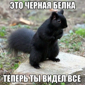 Срочное сообщение