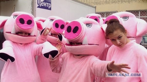 Исламский хайп: ярославским детям запретили есть свинину