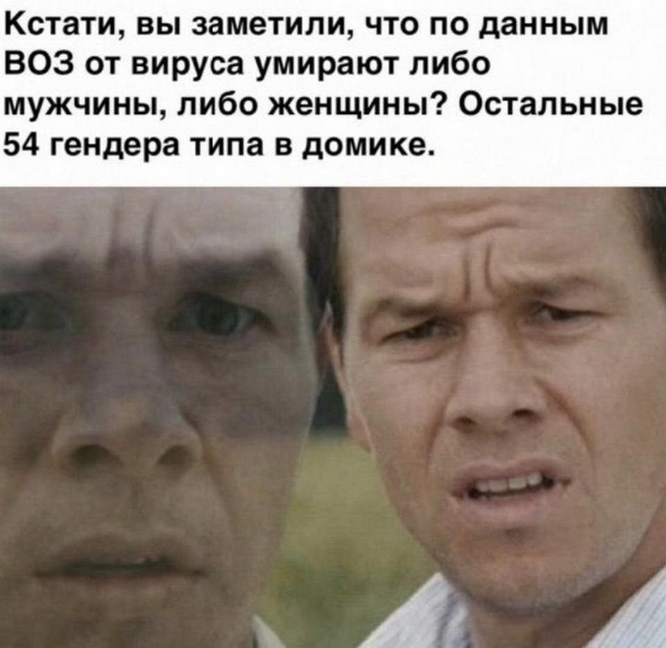15774272.jpg