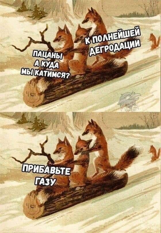 Юмор и прикольные картинки