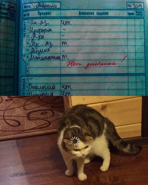 Весёлый полтишок 02.11
