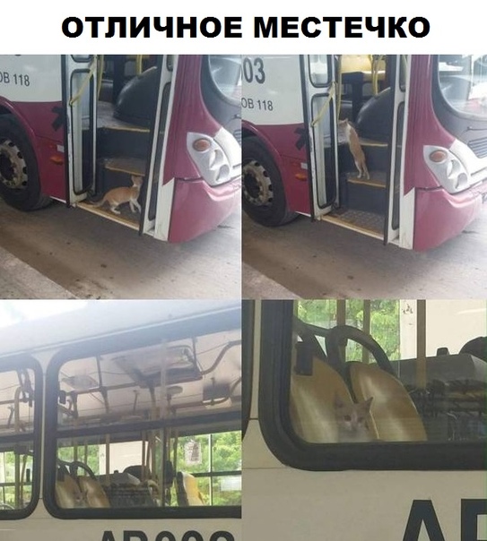 Картинки и мемы, всем отличных выходных