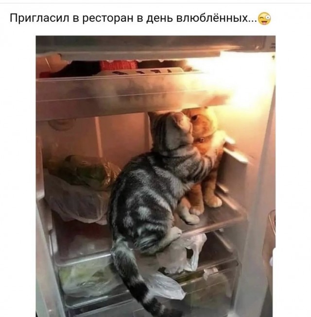 Картинки и мемы для настроения - 19