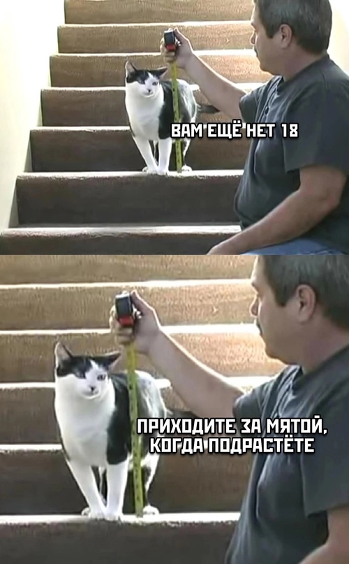 Немного картинок для настроения - 119