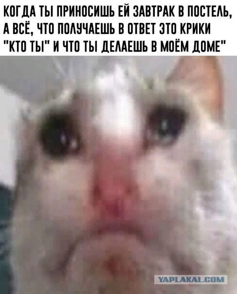 Так себе картинки 03.11.22