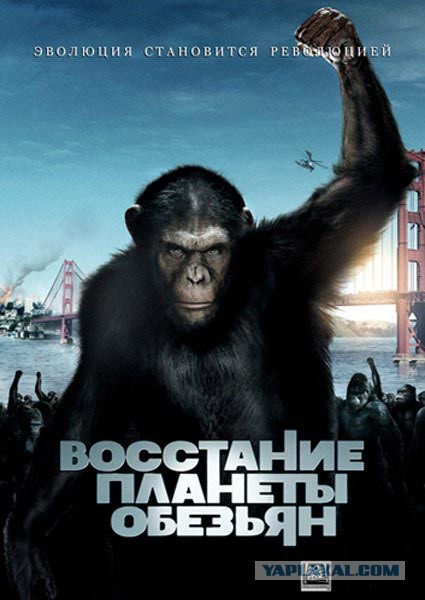 Заехал в не свой район