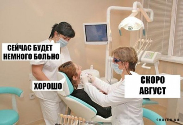 Весёлый полтишок 08.07.23
