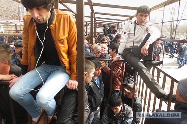 Угадайте, что происходит на видео