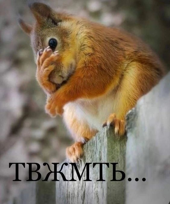 Захар Прилепин призвал к аннексии Узбекистана