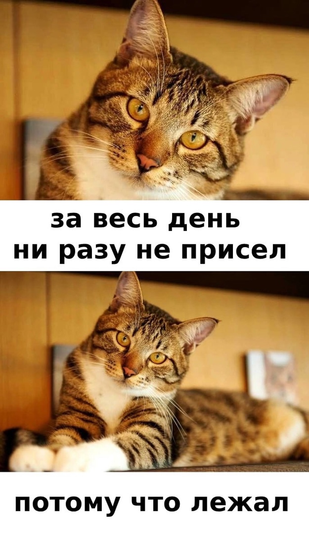 Так себе картинки 04.11.24