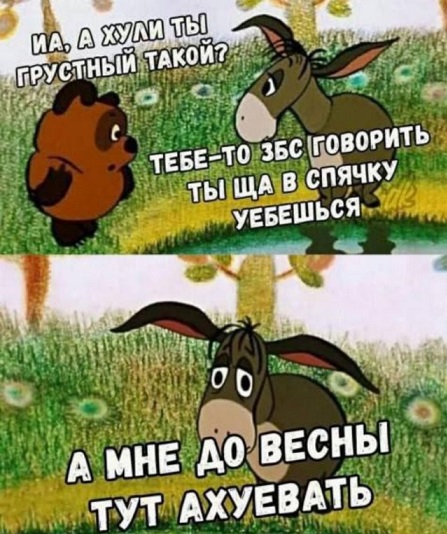 Немного картинок