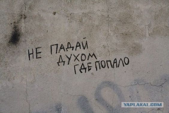 Прикольные и просто красивые картинки 10.01.2025