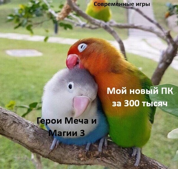 Картинки