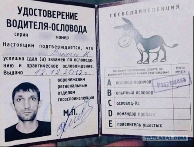 Что делать, что делать?!