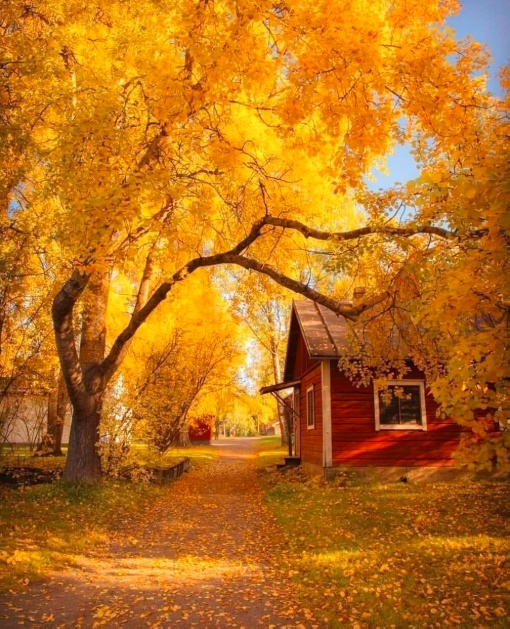 Красивые картинки