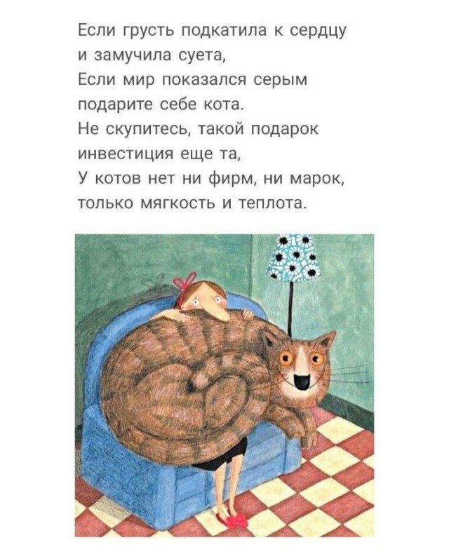 К котовторнику: подборка картинок-баянов с котиками и про котиков. Выпуск 28.
