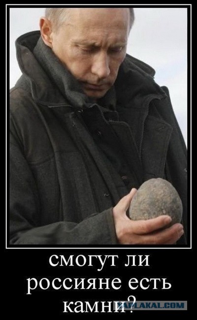 Путин поддержал предложение создать сеть мини-НПЗ