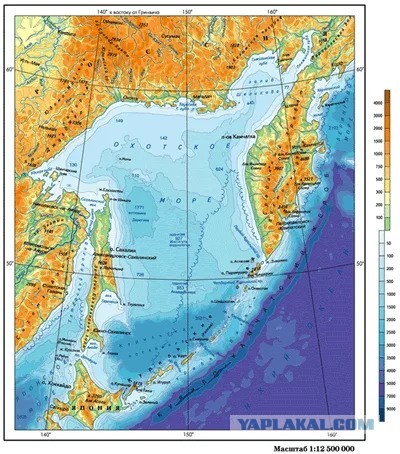 Есть предложение от Миронова Сергея по Охотскому морю