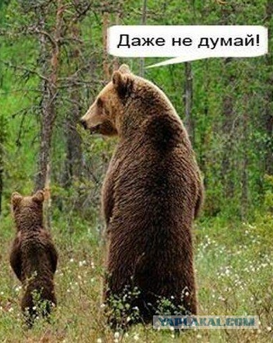 Сенсация: тест на отцовство