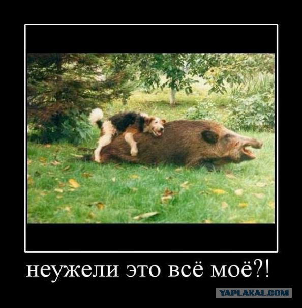 Сайты знакомств в США