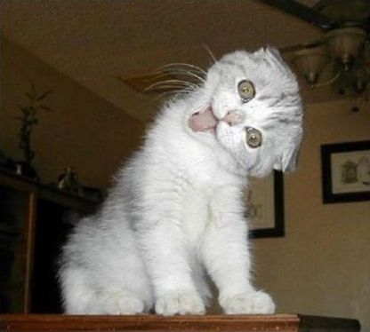 Фотки из интернета.